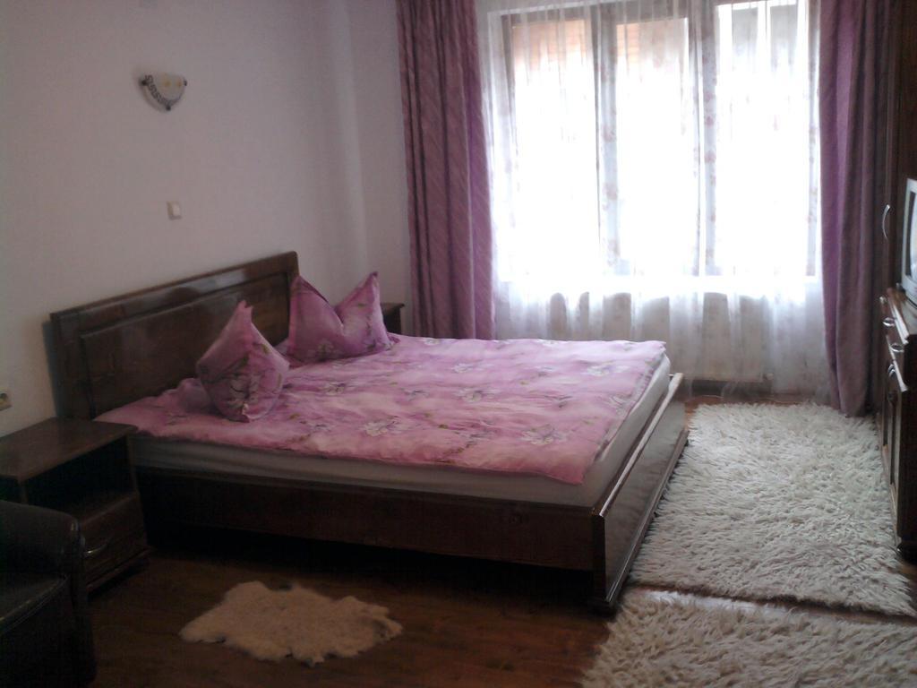 Pensiunea Sofy Arieseni Exterior photo